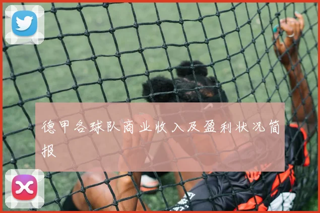 德甲各球队商业收入及盈利状况简报