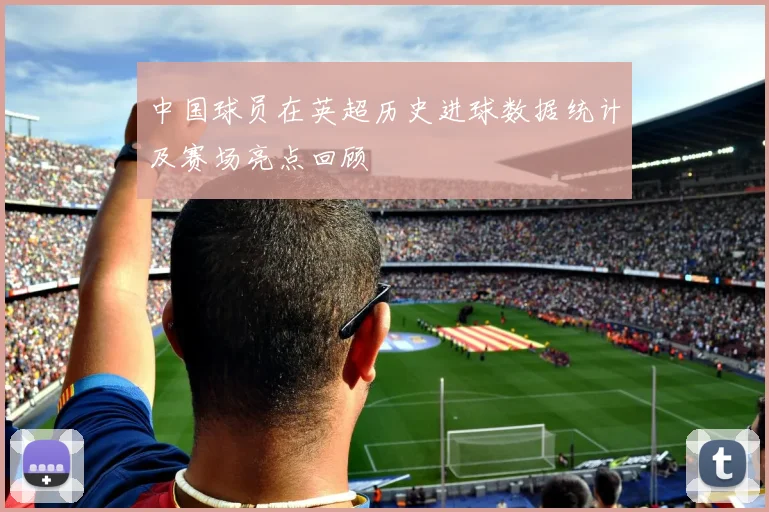 中国球员在英超历史进球数据统计及赛场亮点回顾