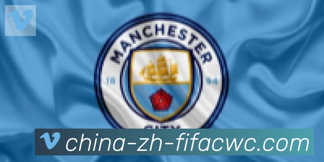 世界杯买球合作伙伴