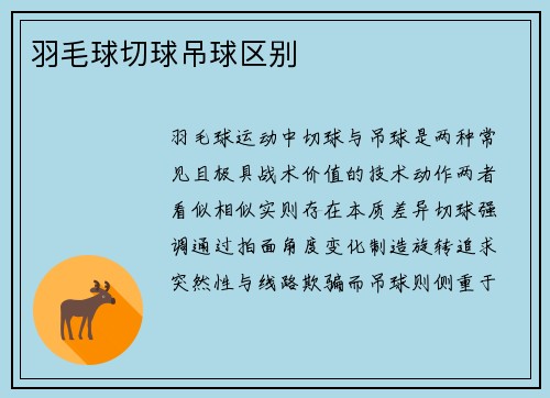 羽毛球切球吊球区别