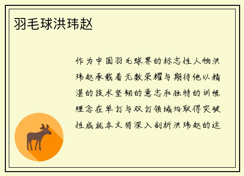 羽毛球洪玮赵