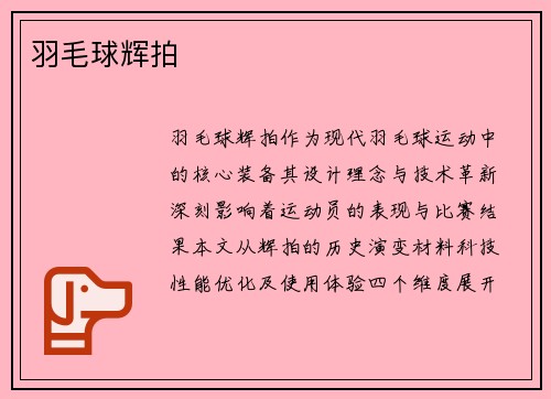 羽毛球辉拍
